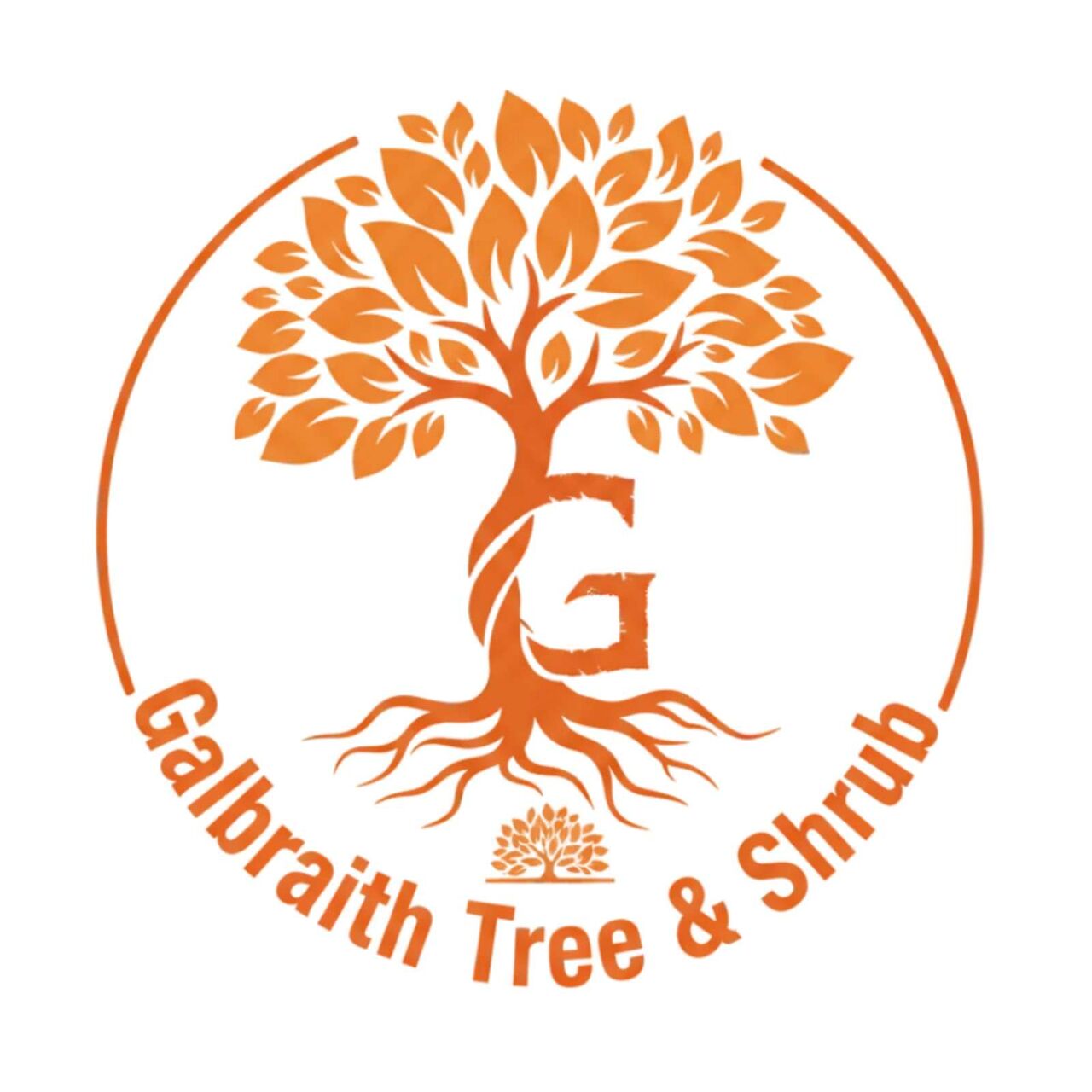 New York, Business, Tree Removal Near Me For Safe And Reliable Tree Solutions