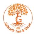Tree Removal Near Me For Safe And Reliable Tree Solutions