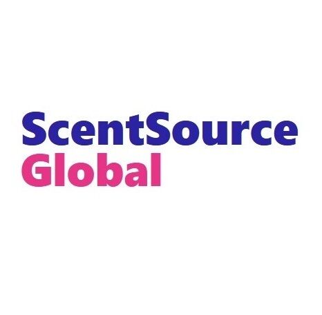 New York, Businesses For Sale, The Best Wholesale Perfume In Bulk