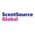 The Best Wholesale Perfume In Bulk