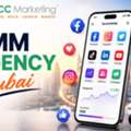 Best SMM Agency Dubai To Maximize Social Media Success