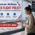 American Airlines Missed Flight Instant Customer Assistance