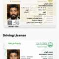 Professional Driver