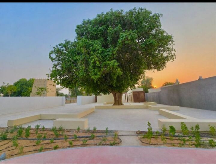 Riyadh, Construction, Professional Subcontractor Available For Landscaping, Curbstone, Civil & Electrical Works