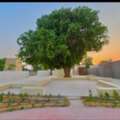 Professional Subcontractor Available For Landscaping, Curbstone, Civil & Electrical Works