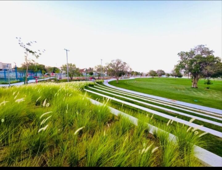 Riyadh, Construction, Professional Subcontractor Available For Landscaping, Curbstone, Civil & Electrical Works