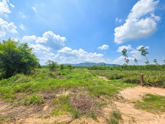 Bangkok, Real Estate For Sale, THB 390000,  6 BR,  2312 Sq. Feet,  Land For Sale At Only 390,000 Baht/rai, Empty Land, Ban Khai District.