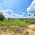 THB 390000,  6 BR,  2312 Sq. Feet,  Land For Sale At Only 390,000 Baht/rai, Empty Land, Ban Khai District.