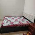 Studio,  2 Bhk Hall Kitchen Bath Ground Floor Furnished