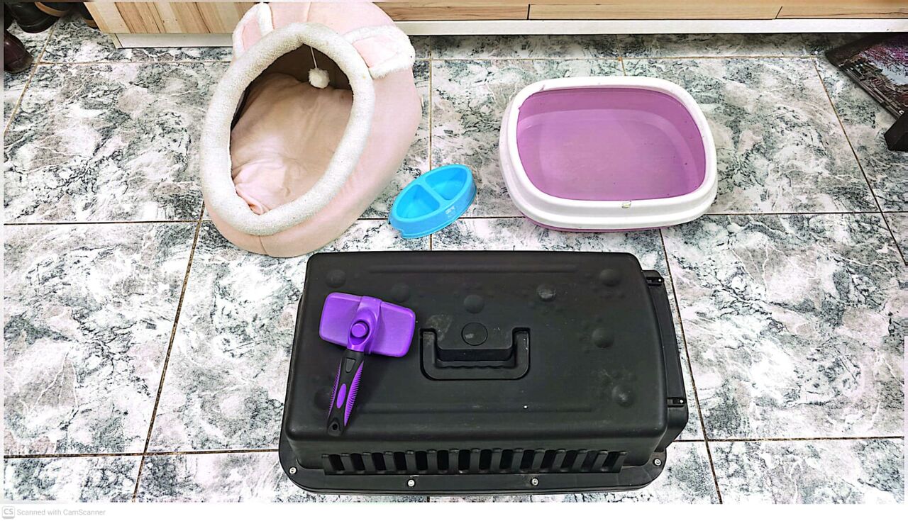 Riyadh, Pet Supplies, SAR 99,  Cat Accessories For Sale