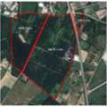 THB 3500000,  6 BR,  122542 Sq. Feet,  Large Plot Of Land For Sale In Ban Bueng, Chonburi. Large Plot Of Land For Sale, 306 Rai,