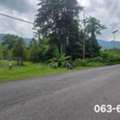 THB 4500000,  6 BR,  400 Sq. Feet,  Durian Orchard For Sale, Mountain View, Good Atmosphere, Front Next To A Paved Road, Back
