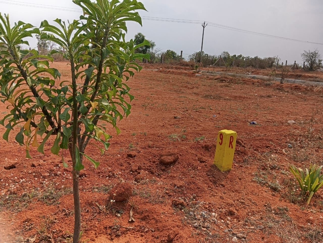 Hyderabad, Residential Plots, INR 11999,  250 Sq. Yard,  Dtcp Layout With Excellent Connectivity Near Future City