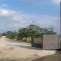 INR 28999,  300 Sq. Yard,  Final Lp Approved Open Villa Plots For Sale Near Pedda Golkonda