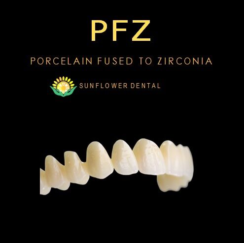 Shenzhen, Dental, Order Premium Zirconia Crown In China At Factory Prices