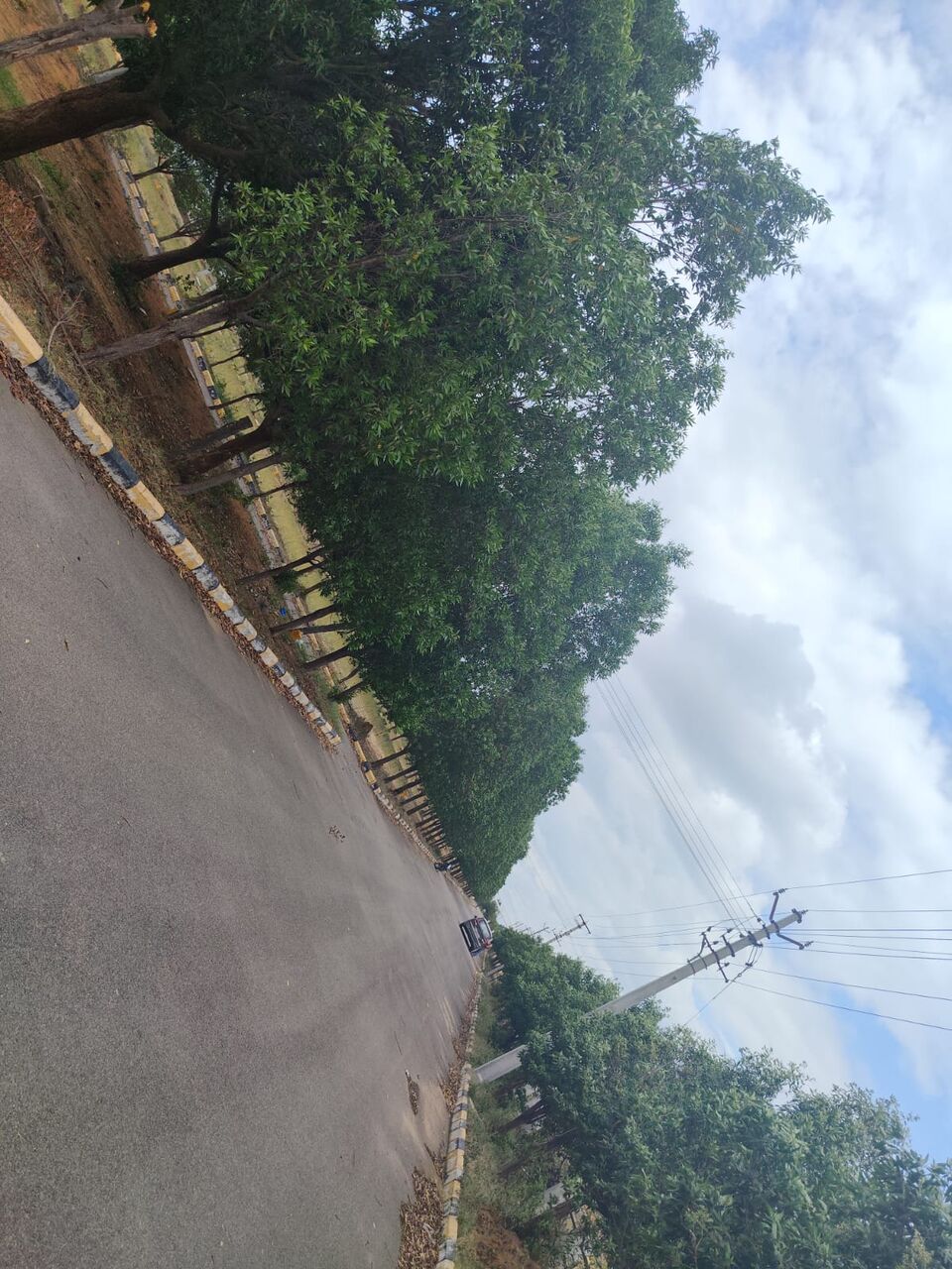 Hyderabad, Residential Plots, INR 13000,  183 Sq. Yard,  DTCP & RERA FINAL APPROVED Open Plots For Sale @ Yacharam