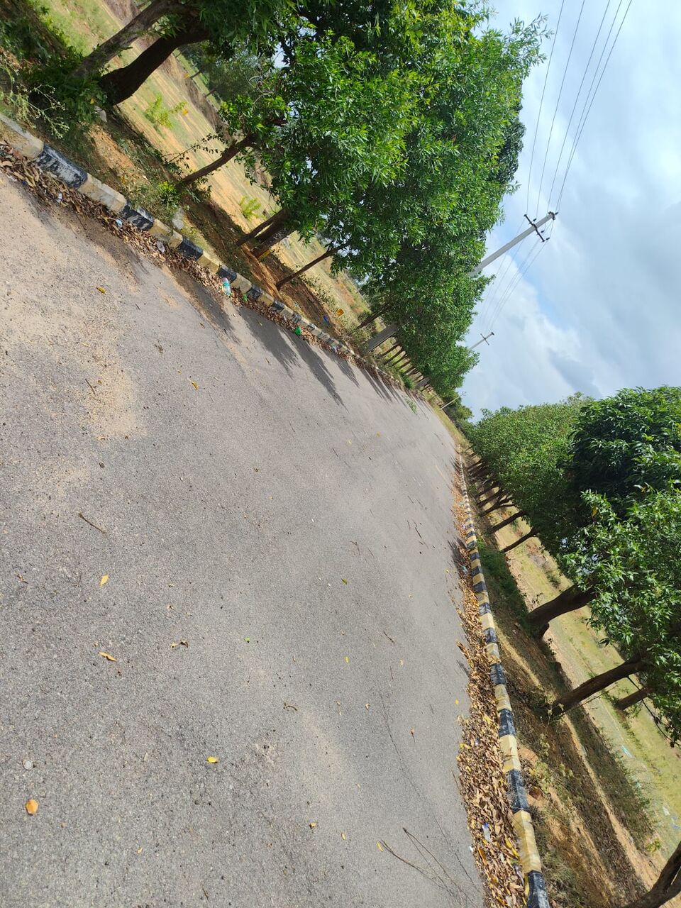 Hyderabad, Residential Plots, INR 13000,  221 Sq. Yard,  DTCP & RERA FINAL APPROVED Open Plots For Sale @ Yacharam