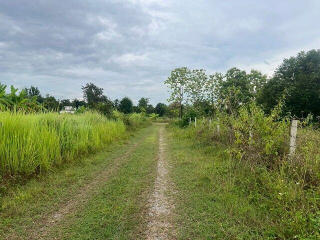 Bangkok, Real Estate For Sale, THB 5300,  6 BR,  399 Sq. Feet,  Selling Below Market Price, Only 5,300 Baht Per Sq M. #Hang Dong - #Nam Phrae Zone,