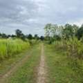 THB 5300,  6 BR,  399 Sq. Feet,  Selling Below Market Price, Only 5,300 Baht Per Sq M. #Hang Dong - #Nam Phrae Zone,