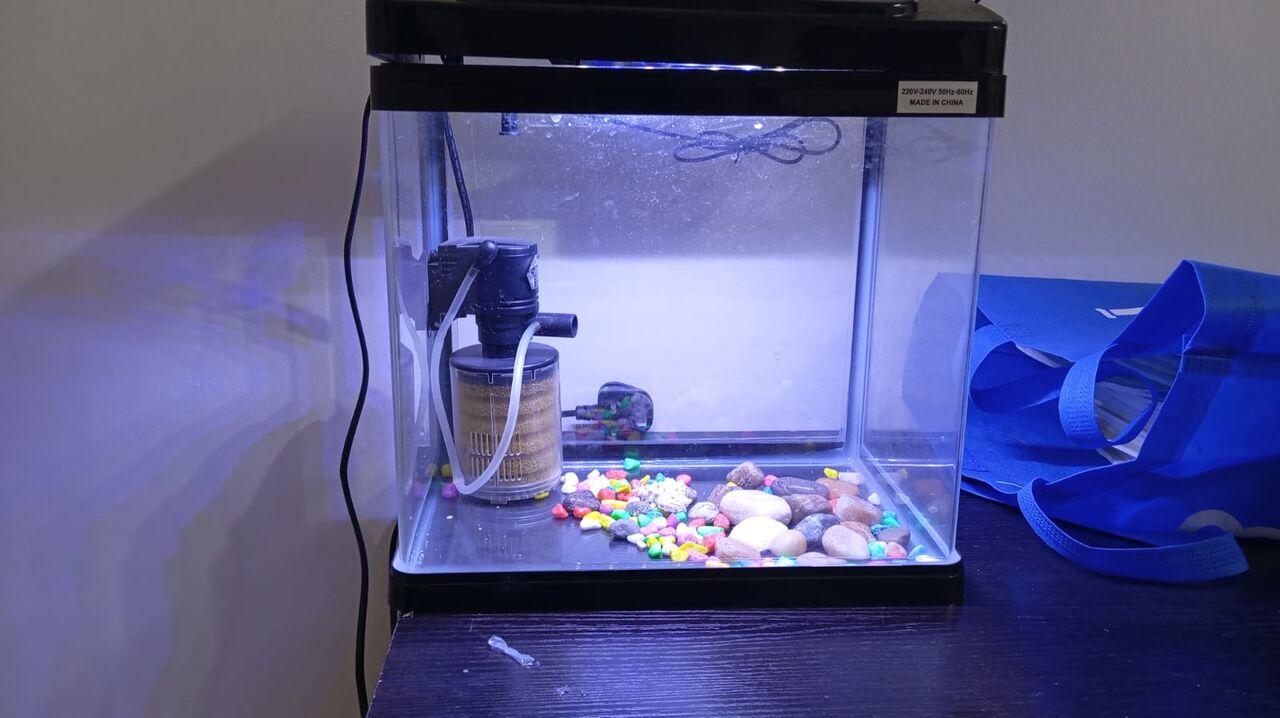 Yanbu, Pet Supplies, SAR 150,  Selling Aquarium, New Condition