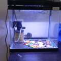 SAR 150,  Selling Aquarium, New Condition