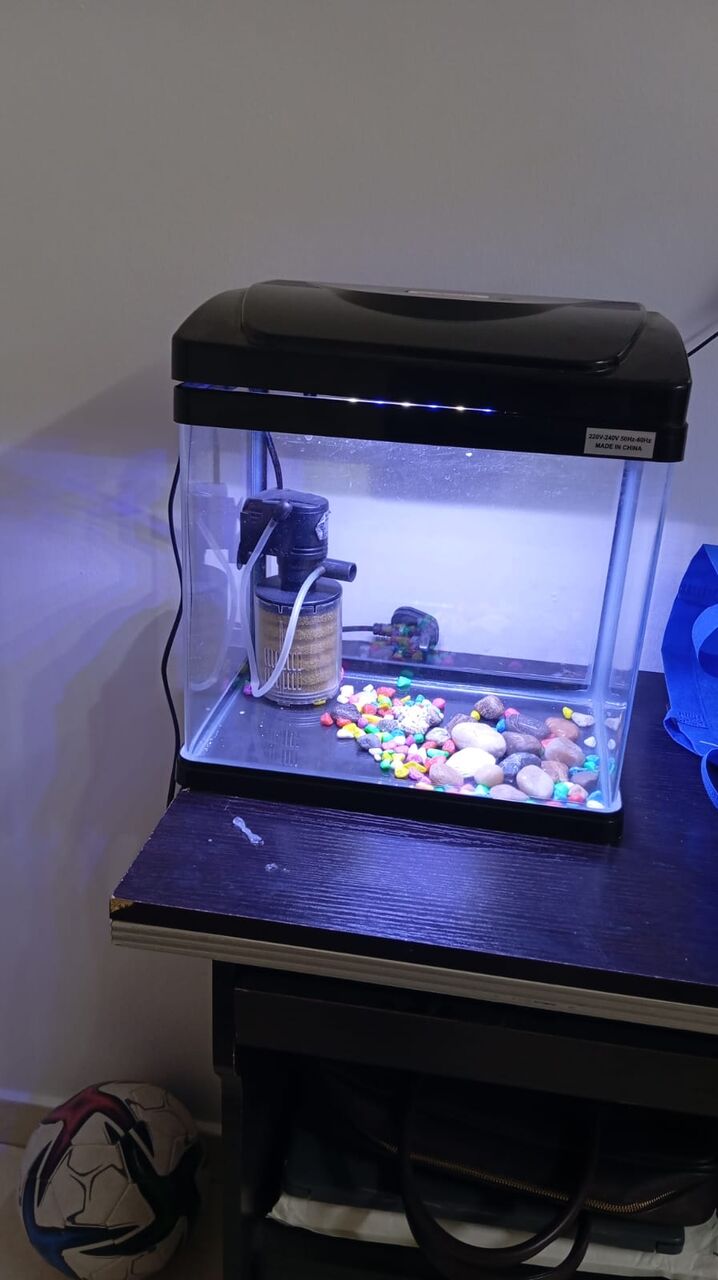 Yanbu, Pet Supplies, SAR 150,  Selling Aquarium, New Condition