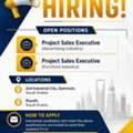 Project Sales Executive