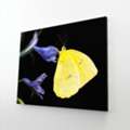 Large Wall Art
