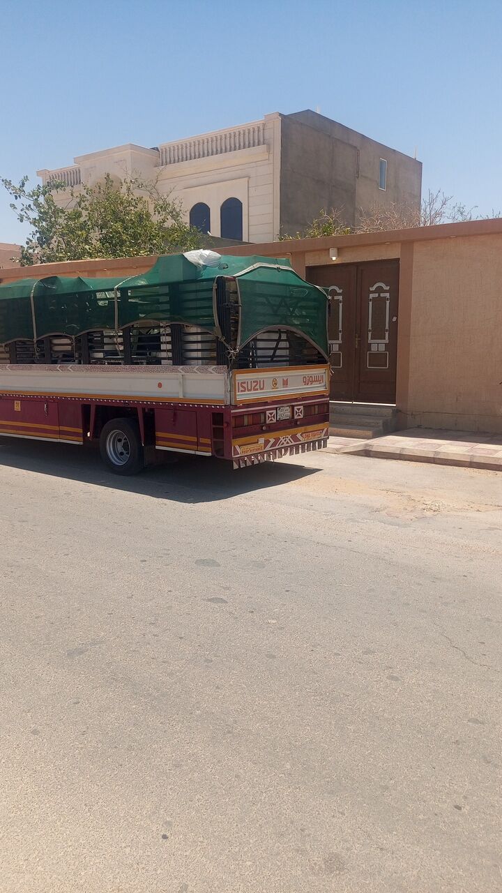 Riyadh, Labor/Moving, Home Shooting Mover Packer Pakistan Is Labour