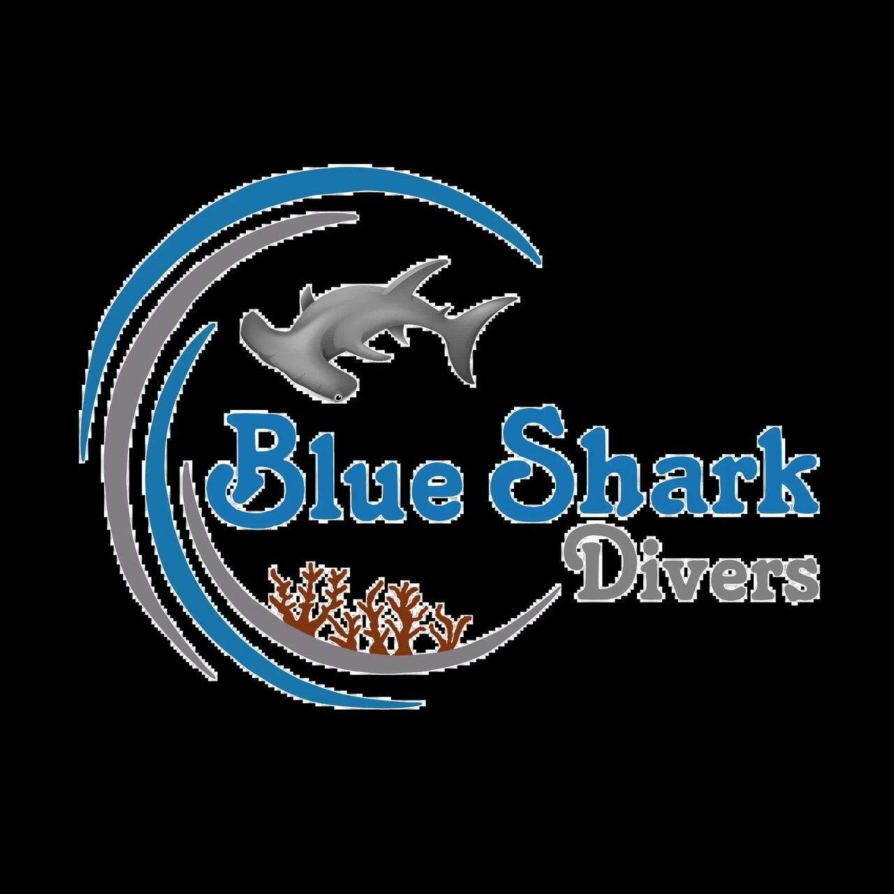 Cairo, Business, Hurghada Blue Shark Divers