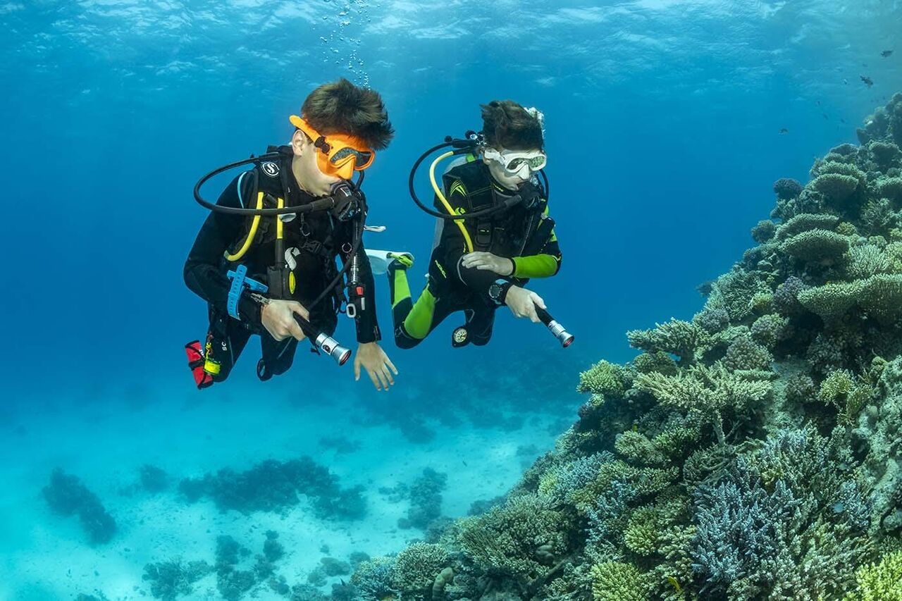 Cairo, Business, Hurghada Blue Shark Divers