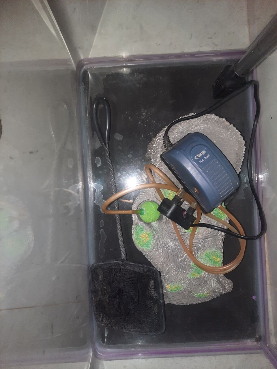 Riyadh, Pet Supplies, SAR 200,  Big Fish Tank