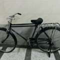 SAR 200,  Standard Bicycle