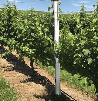 Brisbane, Business, Eliminate Ongoing Maintenance With Heavy Duty Agriculture Fencing Today