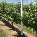 Eliminate Ongoing Maintenance With Heavy Duty Agriculture Fencing Today