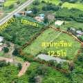 THB 11000000,  6 BR,  4805 Sq. Feet,  Durian Orchard For Sale, 12.5 Rai, Non Hom Subdistrict, Mueang District, Prachinburi