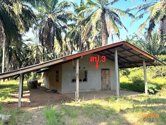 Bangkok, Real Estate For Sale, THB 3734000,  3 BR,  4176 Sq. Feet,  Single House For Sale In Surat Thani, Phra Saeng District, Ban Ton Sai-Bang Fai Road.