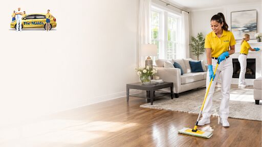 New York, Cleaning, House Cleaning Service In Minneapolis For Every Home