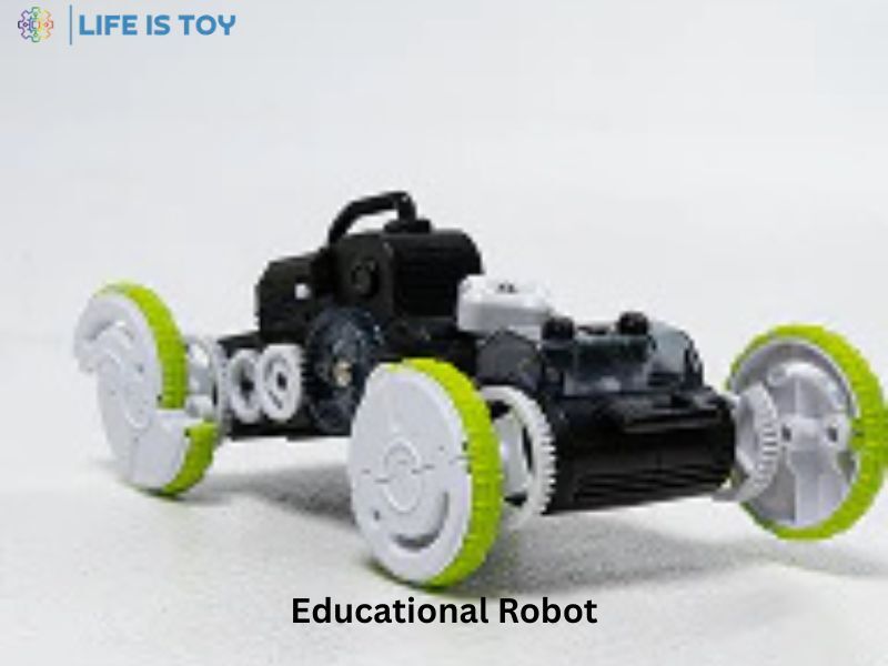 New York, Business, Best Educational Robot For STEM Learning