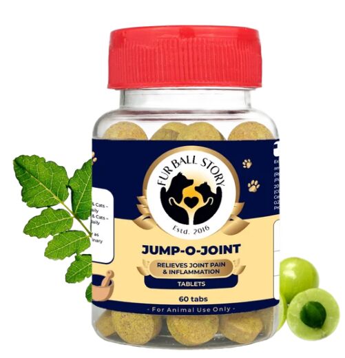 Mumbai, Pet Supplies, INR 529,  Mobility Supplement For Dogs With Ayurvedic Herbs