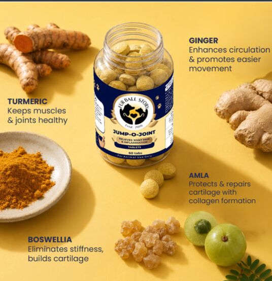 Mumbai, Pet Supplies, INR 529,  Mobility Supplement For Dogs With Ayurvedic Herbs