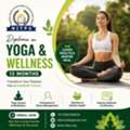 Diploma In Yoga & Wellness (12 Months) | NITPS