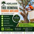 Reliable Tree Removal Service Adelaide | Adelaide Tree Removals