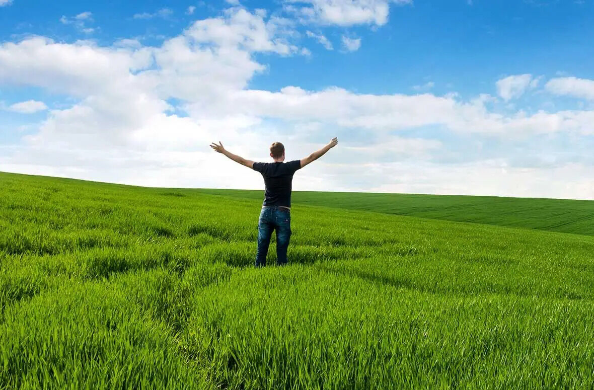 New York, Health, Mental Health Professional Walnut Creek: Find The Right Support