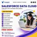 Salesforce Data Cloud Training Hyderabad | Online Classes