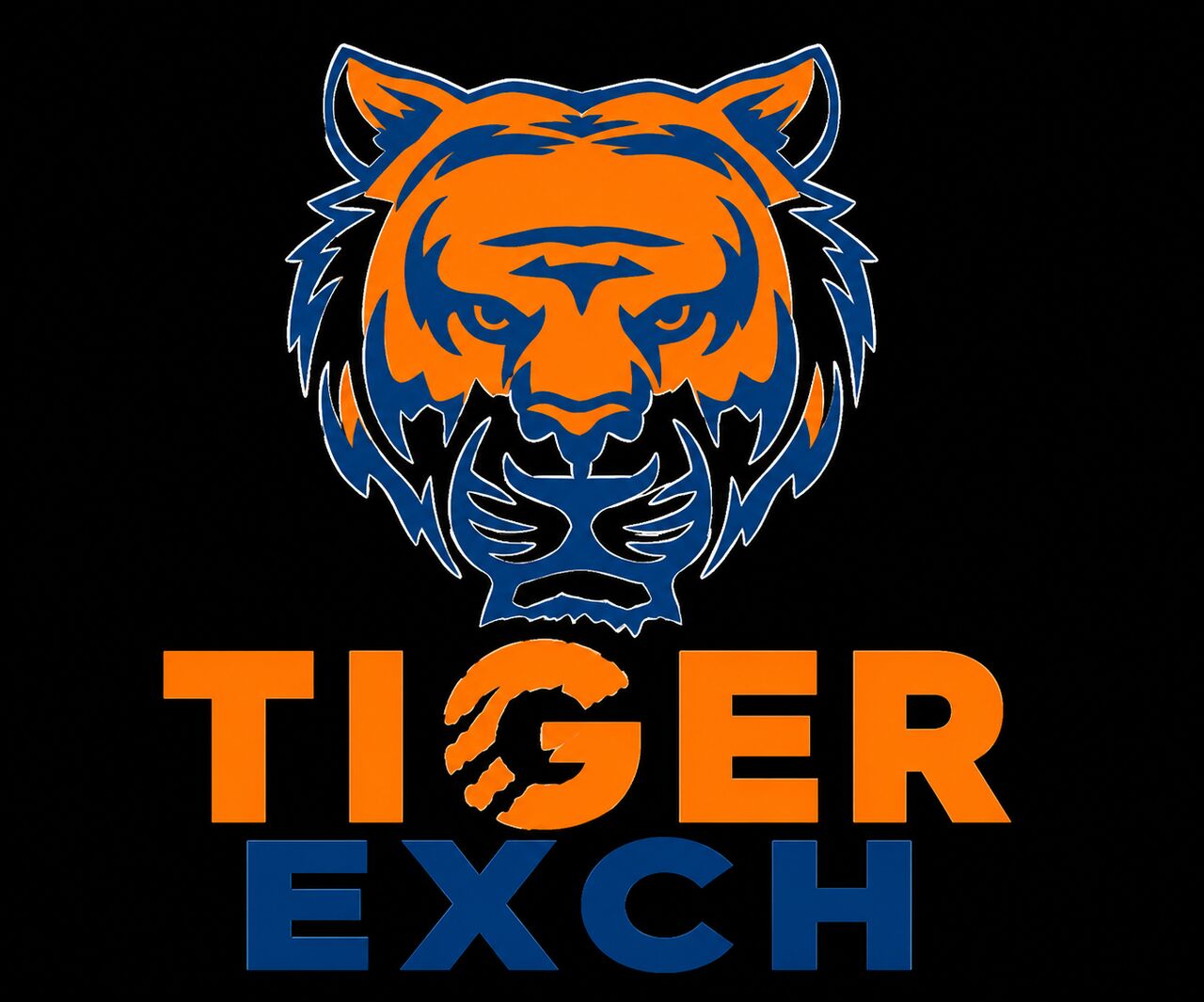 Kabul, Sporting Goods, AFN 12,  Secure Online Sports Hub | Experience Tiger365.pro