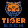 AFN 12,  Secure Online Sports Hub | Experience Tiger365.pro