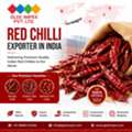 Red Chilli Exporter In India | Bulk Indian Red Chilli Supplier | GLEE