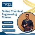 UGC-Verified Excellence: Enroll In An Online Chemical Engineering Course