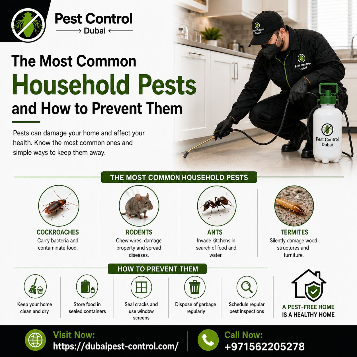 Dubai, Pest Control, The Most Common Household Pests And How To Prevent Them